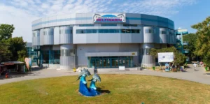 Delfinariu Constanta - Tarife bilete 2024